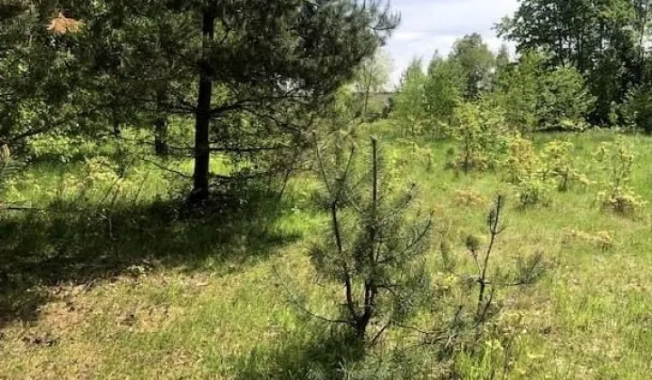 Działka budowlana Radawa Cienkie