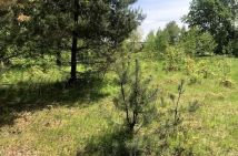 Działka budowlana Radawa Cienkie