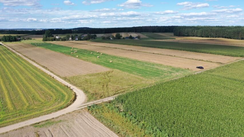 Działka budowlana Czerwone. Zdjęcie 4