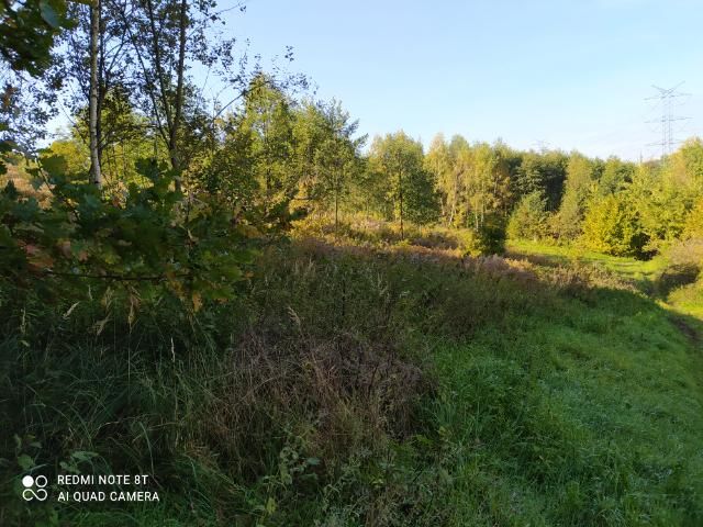 Działka rekreacyjna Buków. Zdjęcie 5