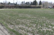 Działka rolno-budowlana Jerzwałd. Zdjęcie 1