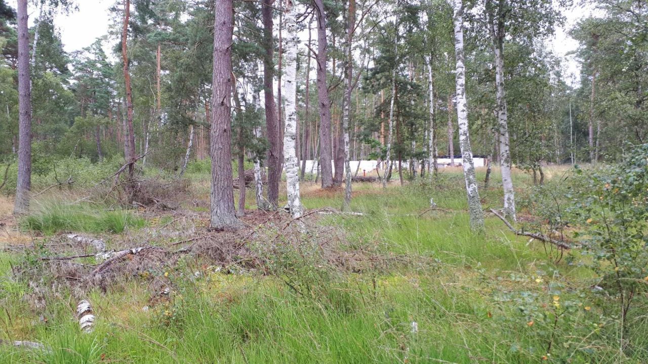 Działka budowlana Dziwnów, ul. Daglezji. Zdjęcie 6