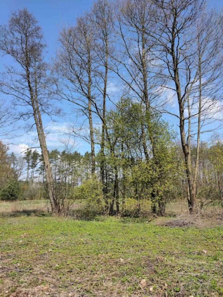 Działka rolna Siercz. Zdjęcie 4