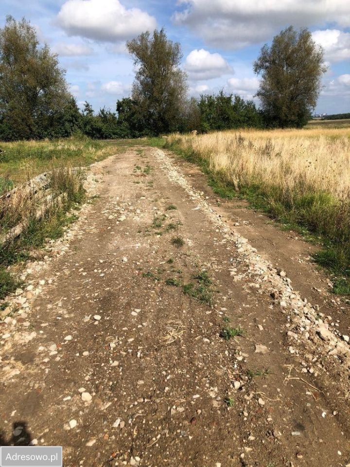 Działka budowlana Łekno. Zdjęcie 8