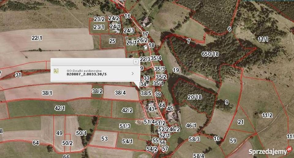 Działka budowlana Wojbórz Wojbórz. Zdjęcie 3