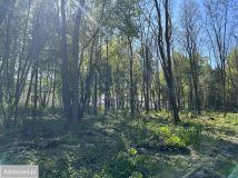 Działka budowlana Musuły, ul. Kwiatu Paproci. Zdjęcie 2