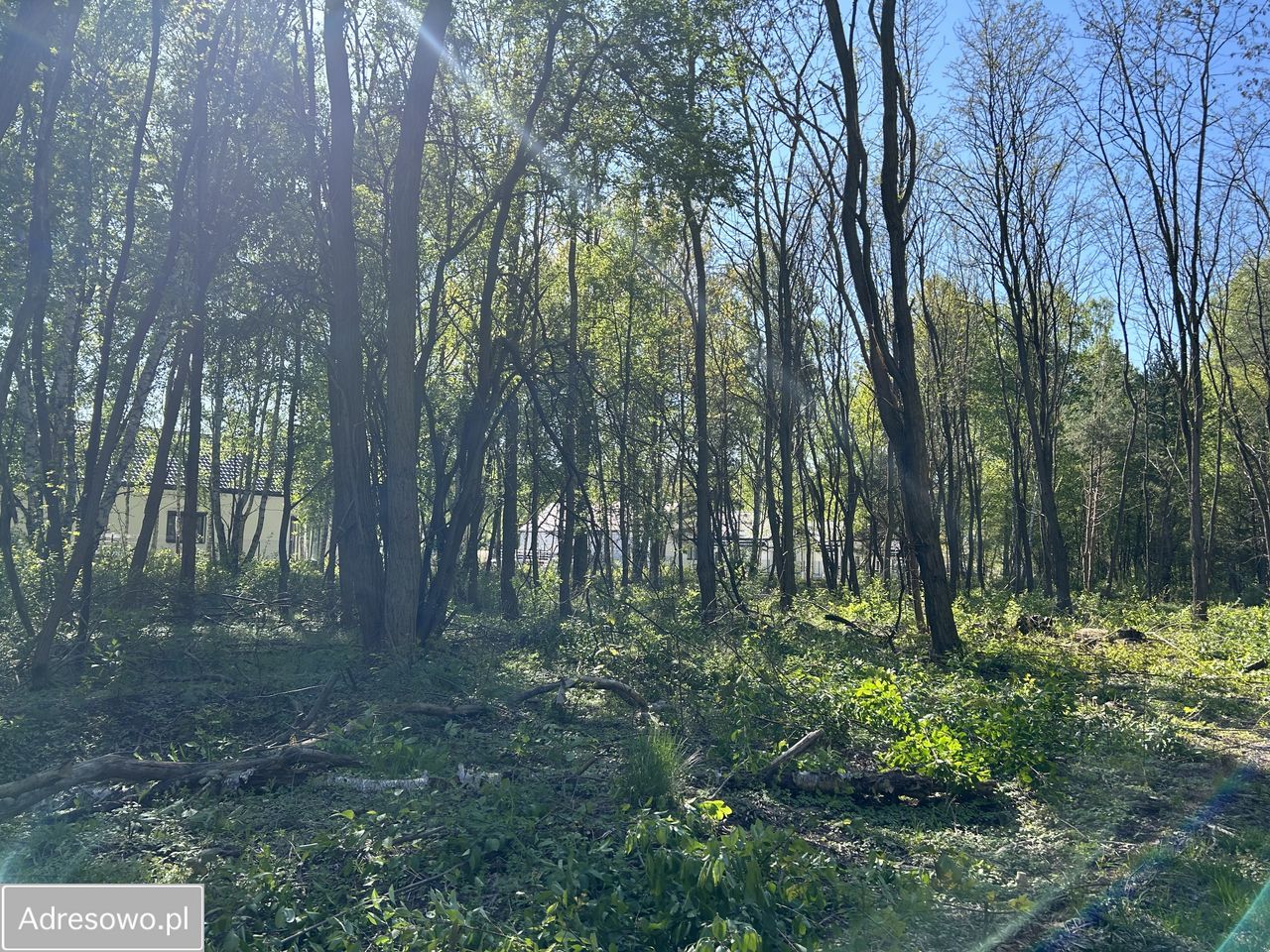 Działka budowlana Musuły, ul. Kwiatu Paproci. Zdjęcie 3