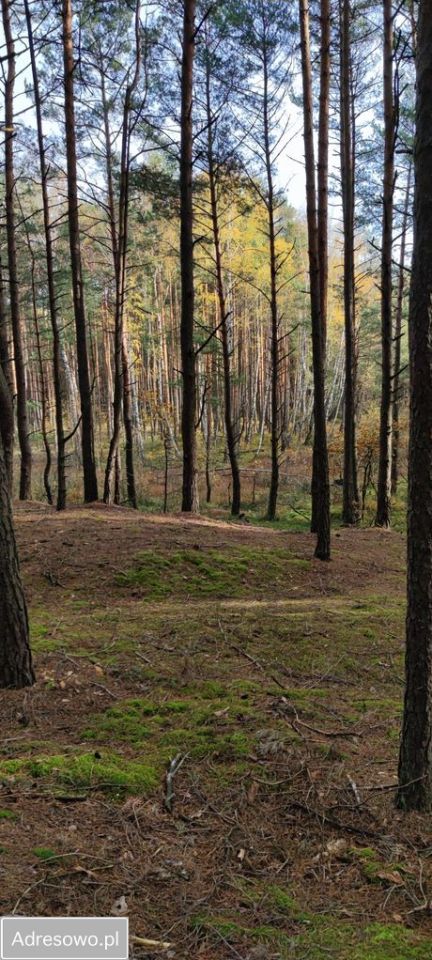 Działka budowlana Otwock, ul. Gabriela Narutowicza. Zdjęcie 6