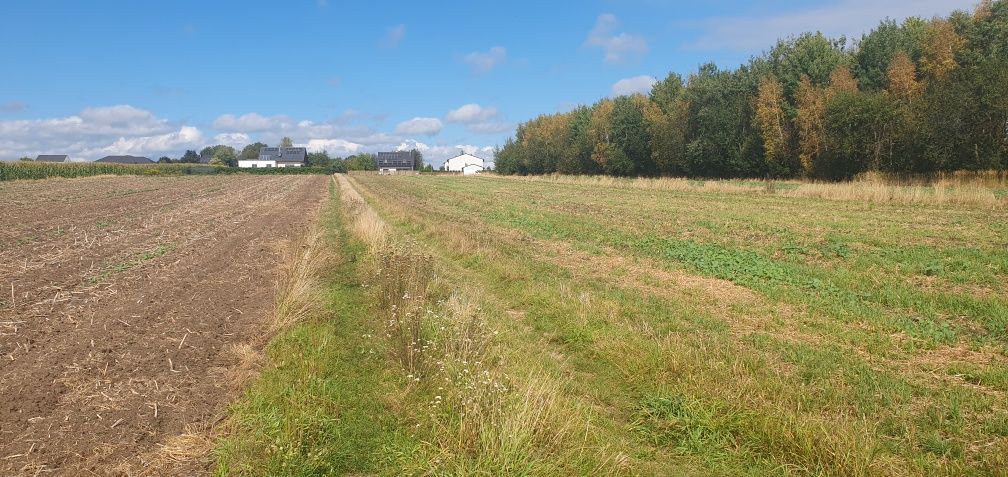 Działka budowlana Tarnowskie Góry, ul. Konduktorska. Zdjęcie 6