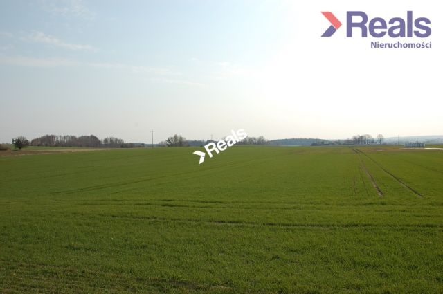 Działka rolna Szczepkowo-Zalesie. Zdjęcie 1