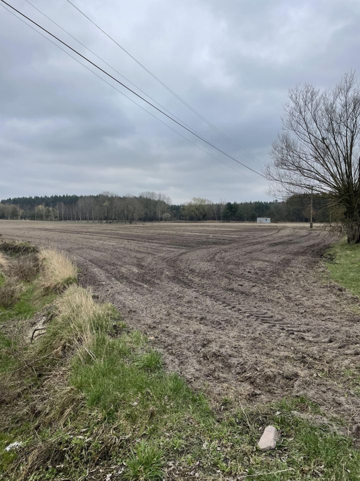 Działka rolno-budowlana Sienno. Zdjęcie 4