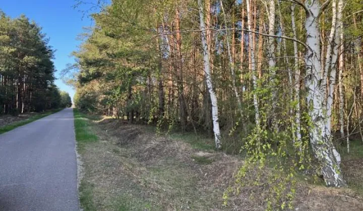 Działka rolno-budowlana Budy Wolińskie