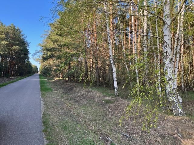 Działka rolno-budowlana Budy Wolińskie, Budy Wolińskie. Zdjęcie 5