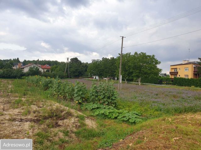 Działka budowlana Wyżnianka-Kolonia. Zdjęcie 1