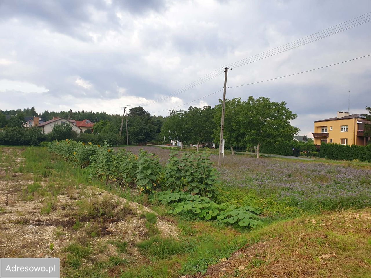 Działka budowlana Wyżnianka-Kolonia. Zdjęcie 1