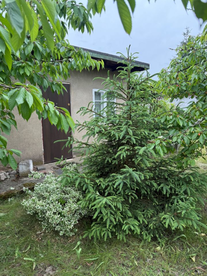 Działka rod Poznań Grunwald. Zdjęcie 1