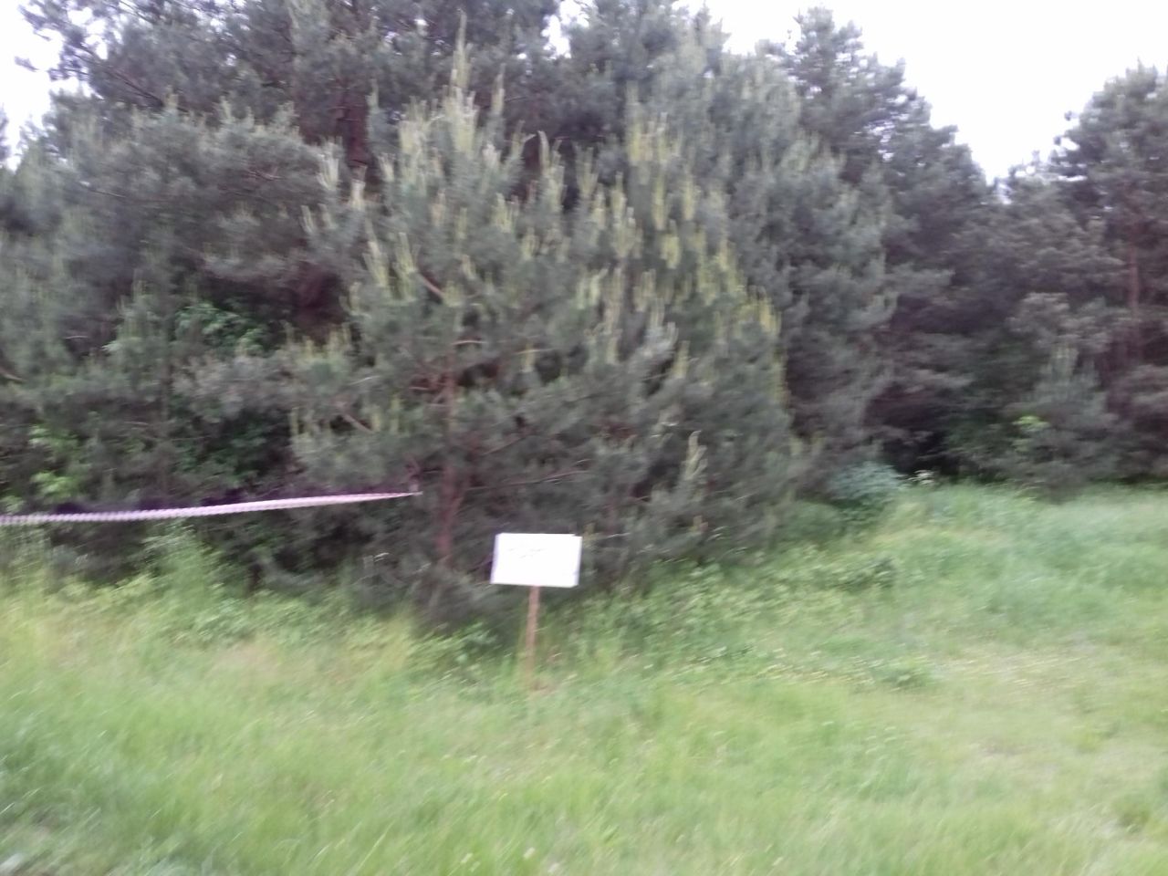 Działka rekreacyjna Żagliny Żagliny Duże. Zdjęcie 4