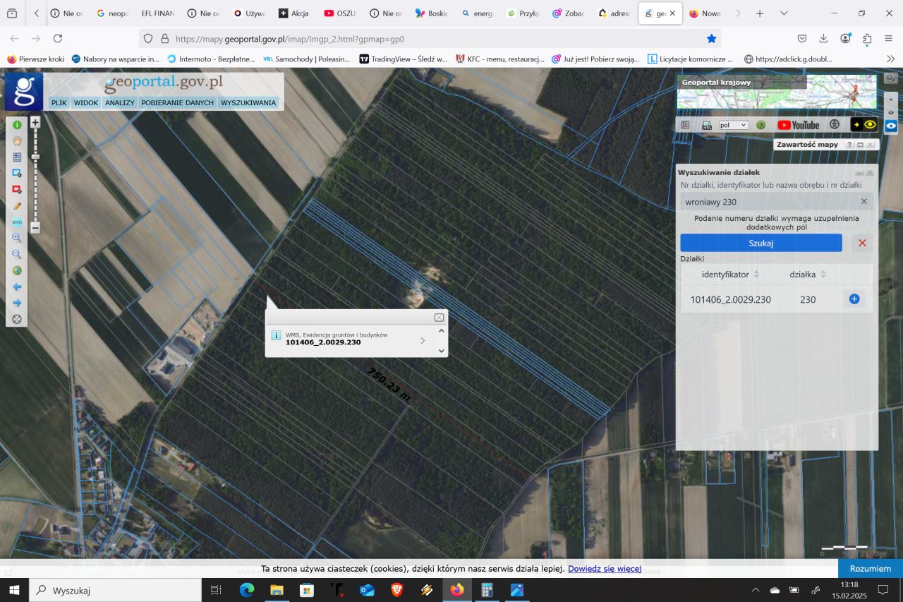 Działka leśna Wroniawy, ul. Turecka. Zdjęcie 3