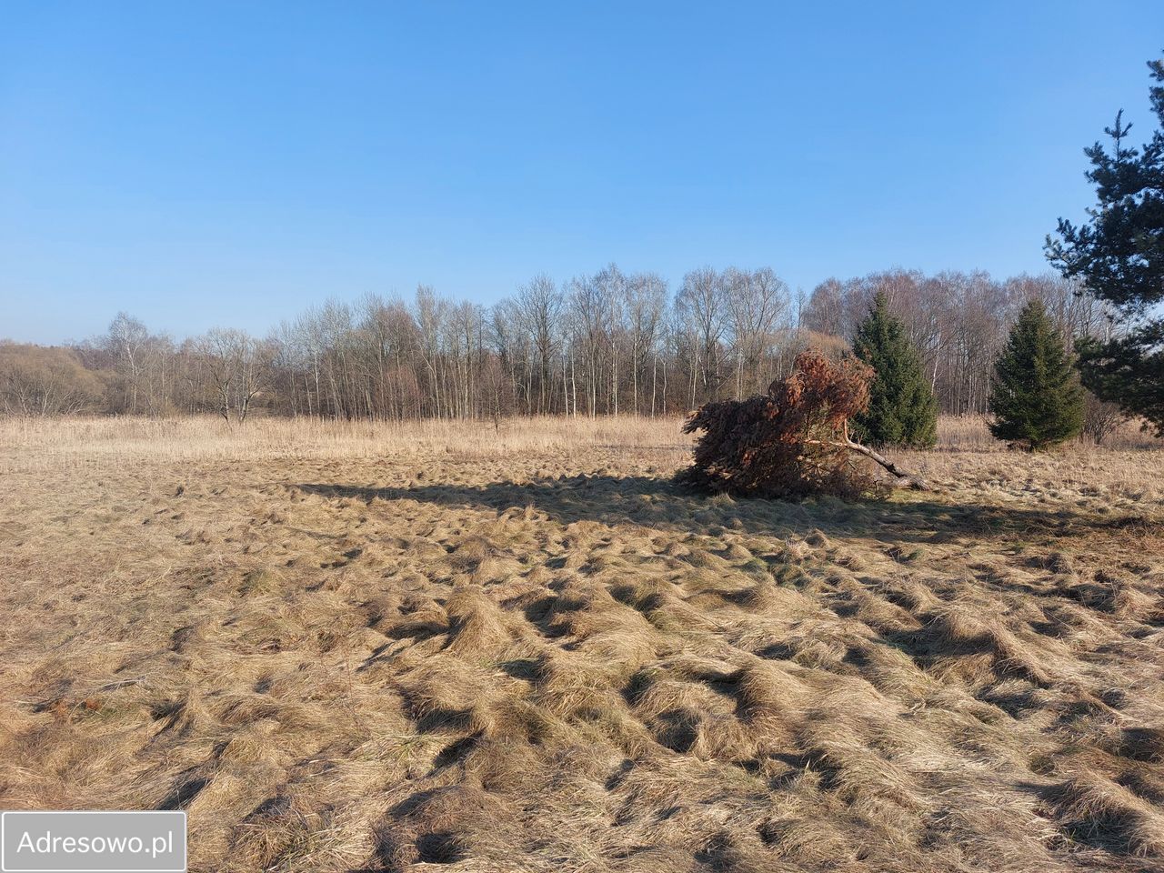 Działka budowlana Chruszczobród. Zdjęcie 2