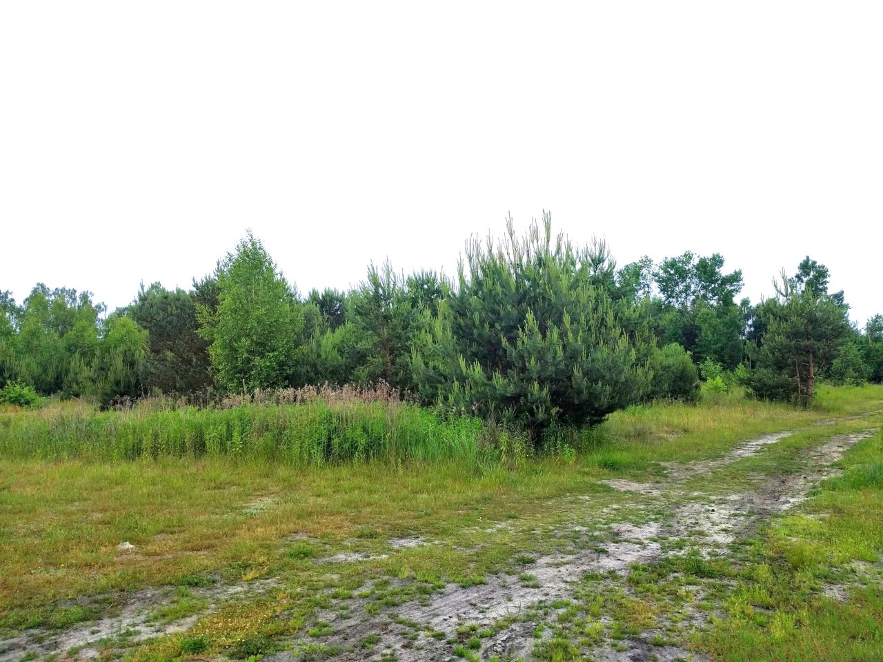 Działka budowlana Krzaki Czaplinkowskie, ul. Główna. Zdjęcie 1