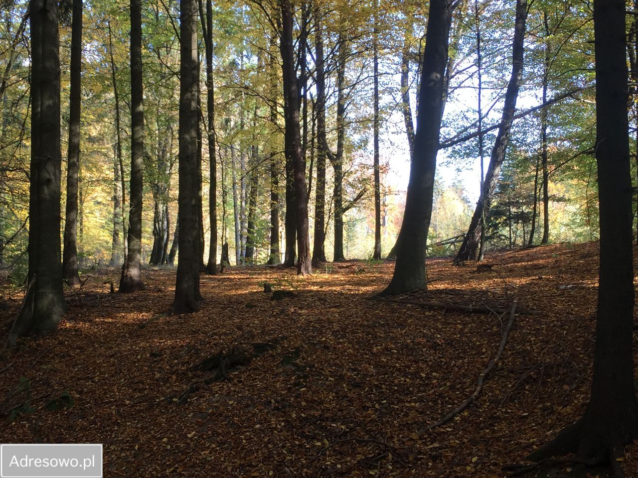 Działka budowlana Spręcowo. Zdjęcie 9