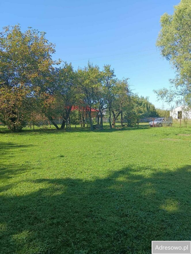 Działka siedliskowa Osiek. Zdjęcie 3