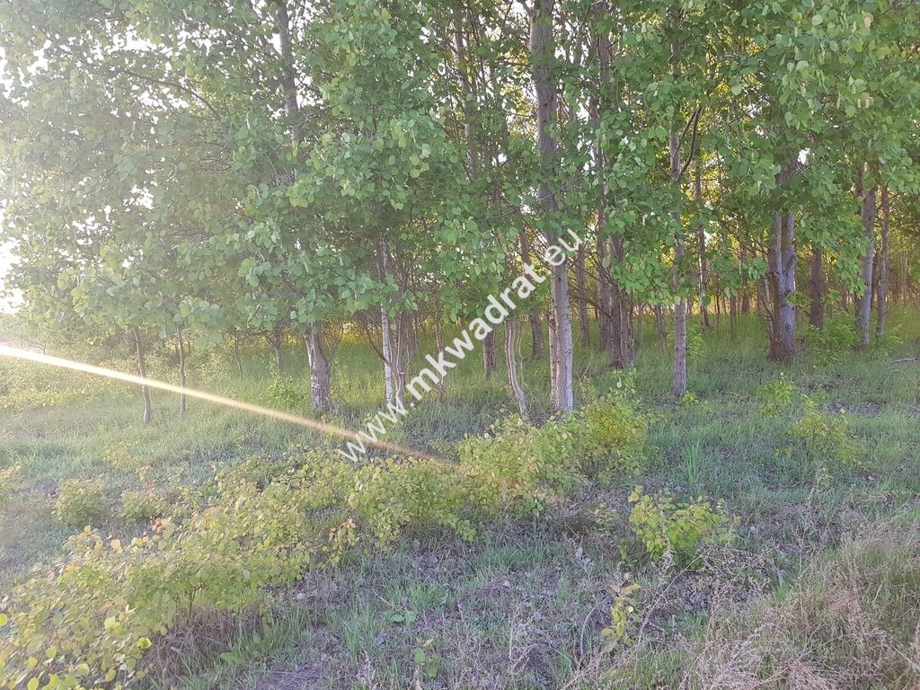 Działka budowlana Radziejowice, ul. Ossolińskich. Zdjęcie 7