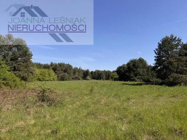 Działka budowlana Chechło, ul. Świerkowa. Zdjęcie 9