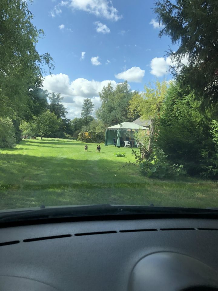 dom wolnostojący, 4 pokoje Kolonia Bolimowska-Wieś. Zdjęcie 4