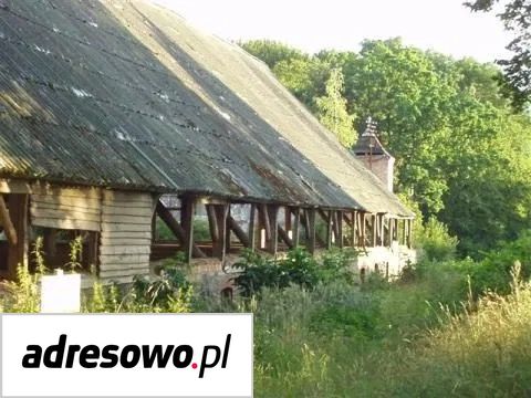 Działka inwestycyjna Dołgie. Zdjęcie 18