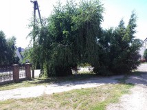 Działka rolno-budowlana Mełgiew, ul. Piasecka. Zdjęcie 2