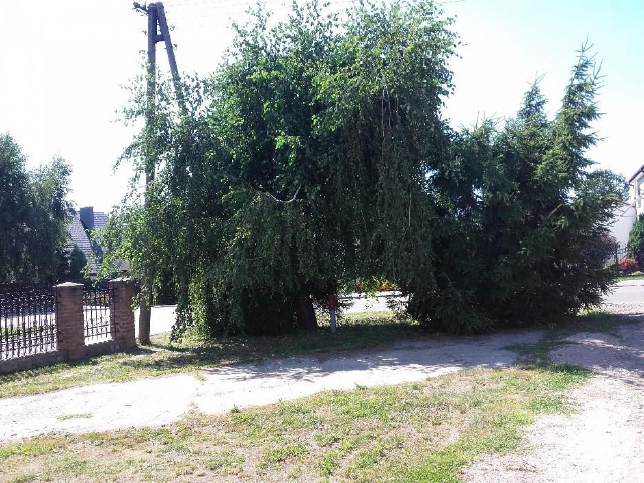 Działka rolno-budowlana Mełgiew, ul. Piasecka. Zdjęcie 3