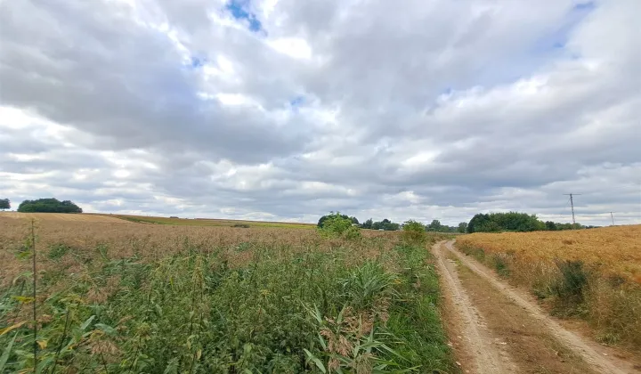 dom wolnostojący, 2 pokoje Ożarów