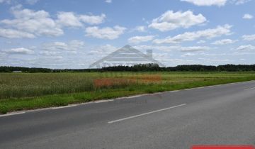 Działka inwestycyjna Strzelce Opolskie, ul. 1 Maja