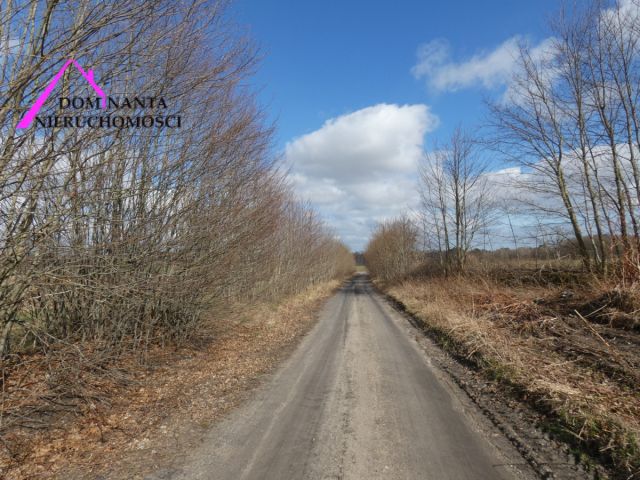Działka budowlana Zdrada, ul. Leśna. Zdjęcie 9