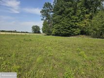 Działka siedliskowa Piotrawin. Zdjęcie 2