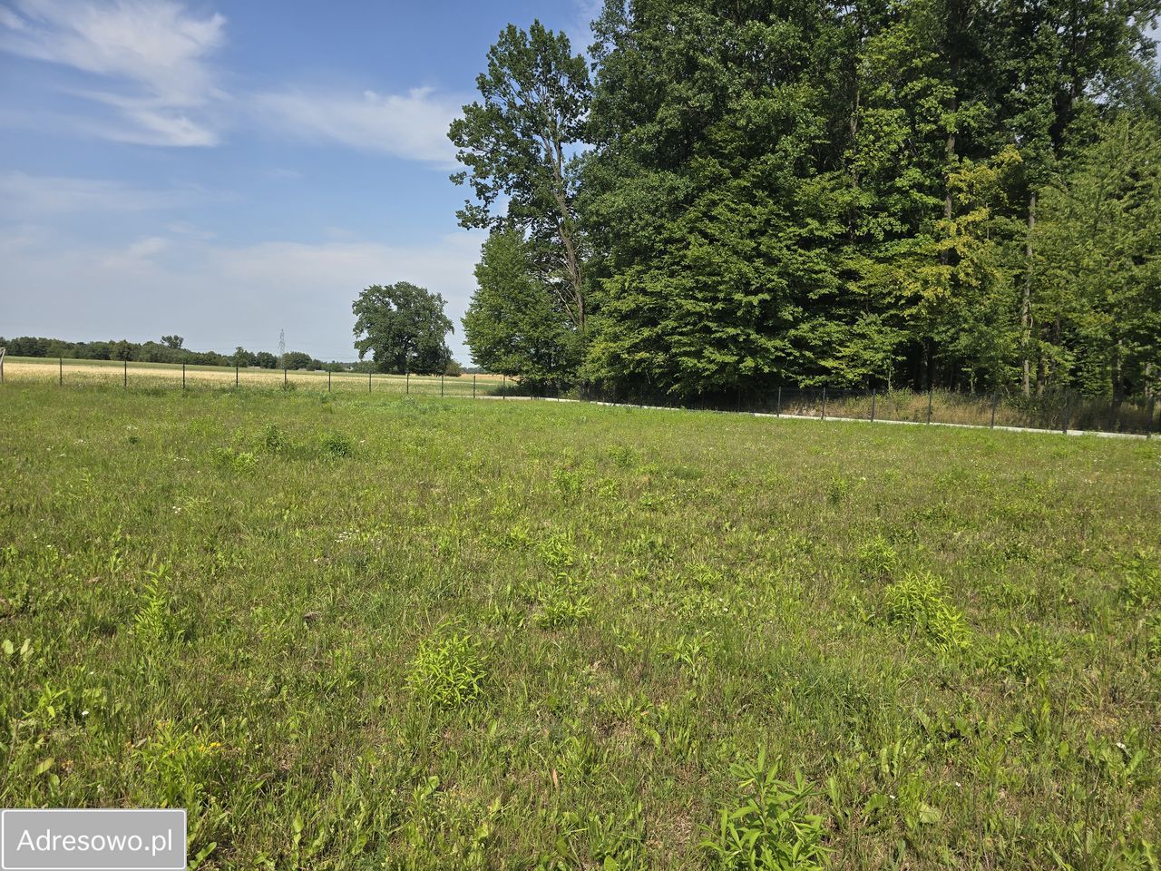 Działka siedliskowa Piotrawin. Zdjęcie 3