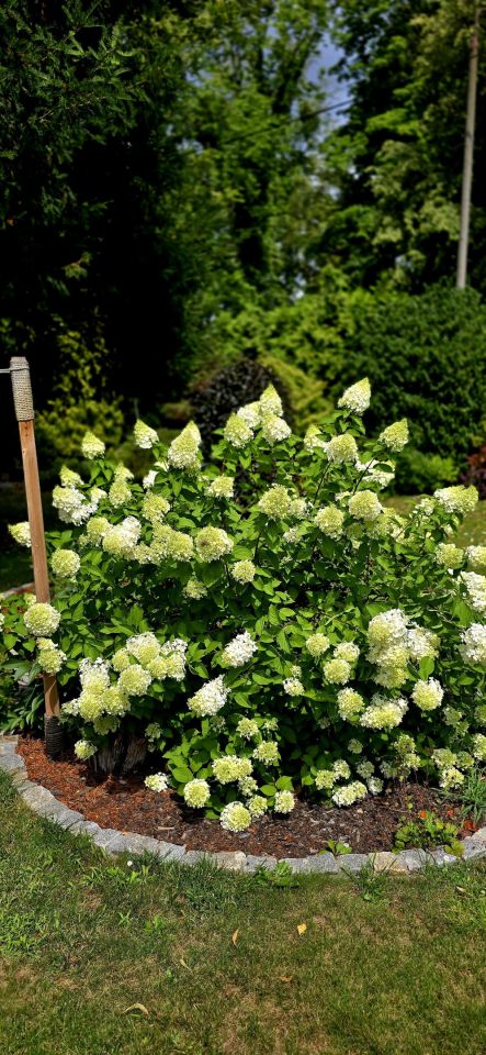 bliźniak, 5 pokoi Gliwice Śródmieście, Most Baildona. Zdjęcie 17