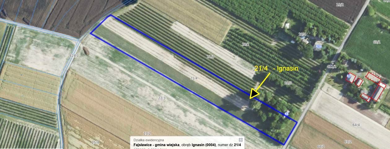 Działka rolna Ignasin. Zdjęcie 4