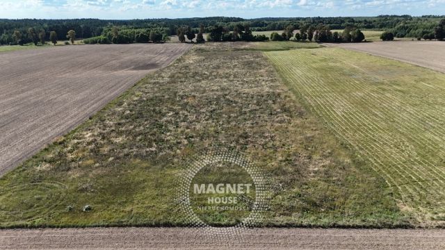 Działka rolna Rutwica. Zdjęcie 8