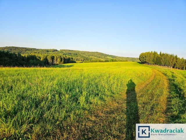 Działka rolna Lutcza. Zdjęcie 11