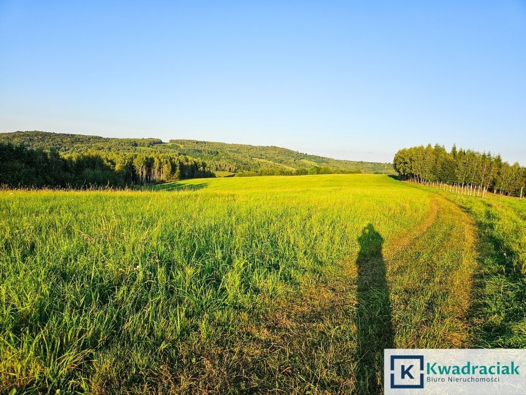 Działka rolna Lutcza. Zdjęcie 11