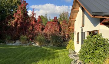 Działka rolno-budowlana Dybowo