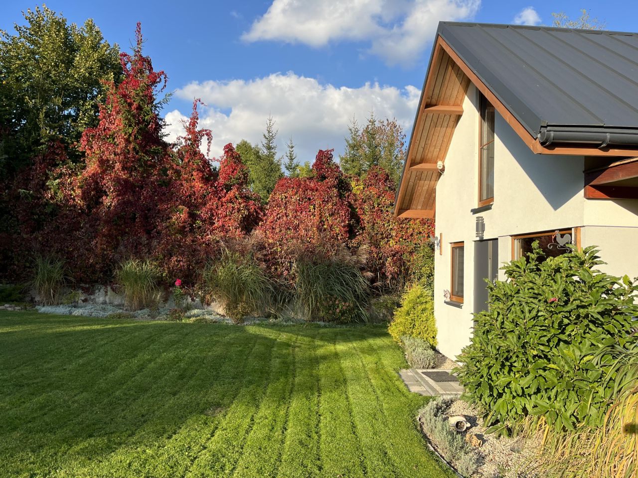 Działka rolno-budowlana Dybowo