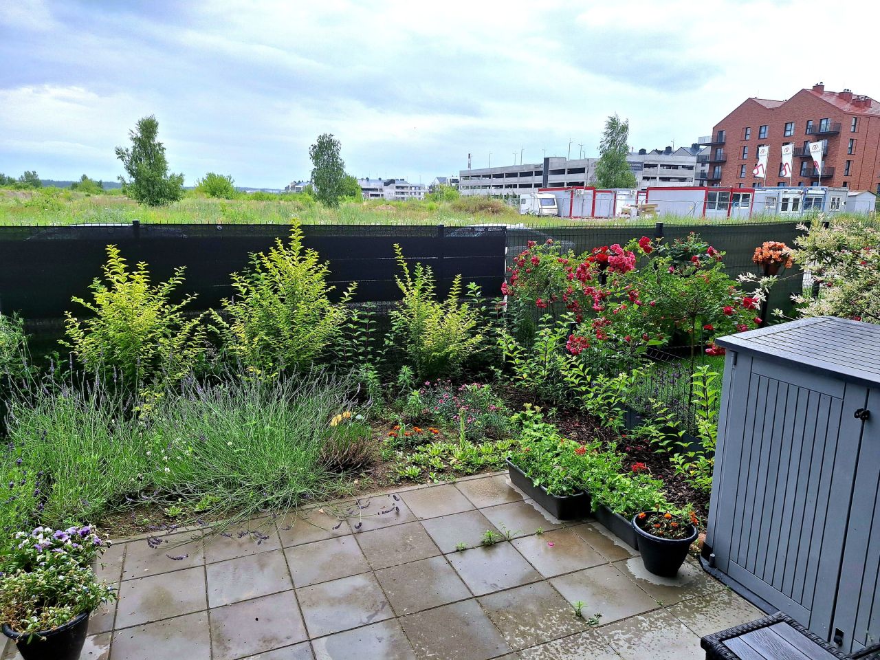 Mieszkanie 3-pokojowe Poznań Naramowice, ul. Czarnucha. Zdjęcie 12