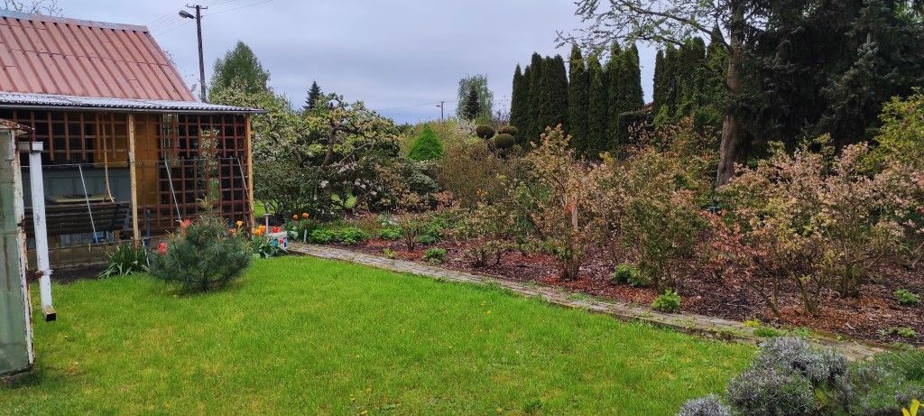 Działka rod Mokra Prawa. Zdjęcie 6