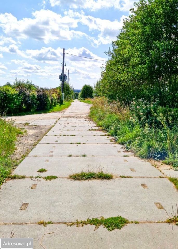 Działka Komorowo Żuławskie. Zdjęcie 1