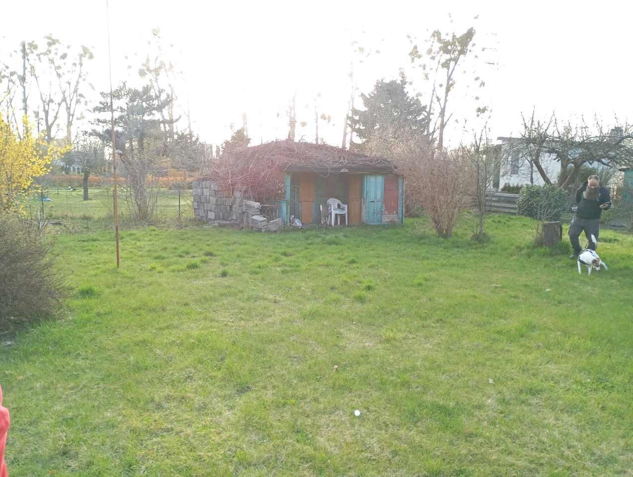 Działka rod Łódź Górna. Zdjęcie 4