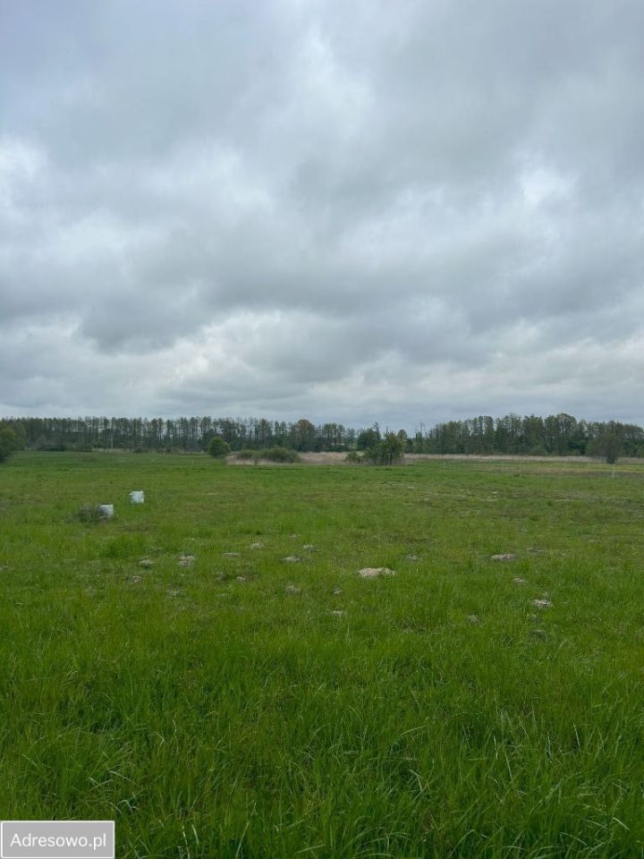 Działka budowlana Dzbanice. Zdjęcie 2