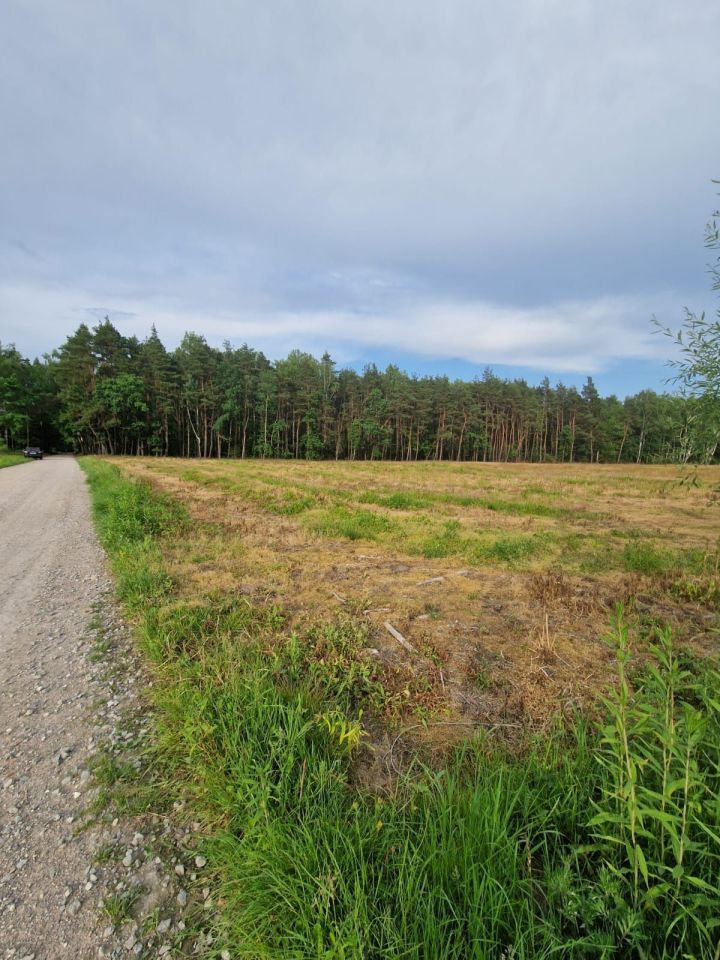 Działka rolno-budowlana Martynów. Zdjęcie 4